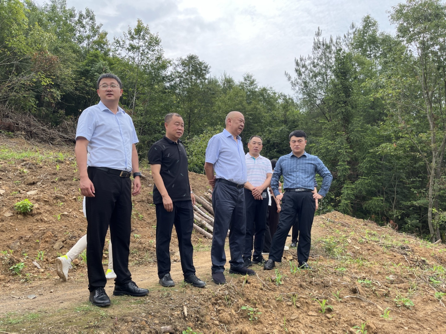 公司领导调研乡村振兴